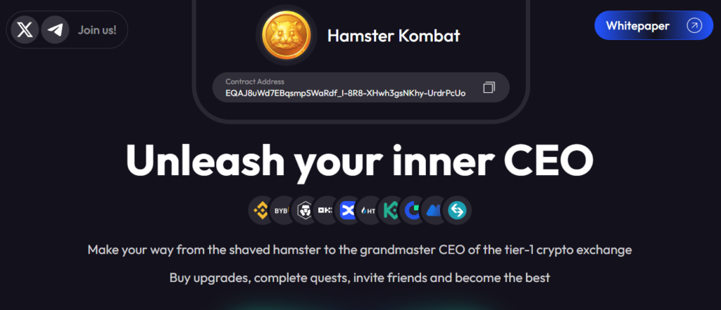 Understanding Hamster Kombat Coin (HMSTR)